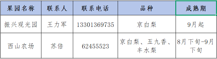 碩果飄香·豐涵海淀丨“梨”享生活 金秋味道