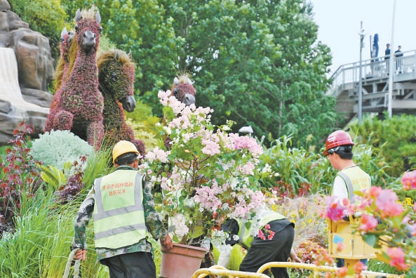天安門廣場及長安街沿線花卉布置方案公布