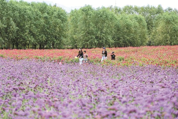 新疆鐵門關:戈壁灘上崛起“公園城市”