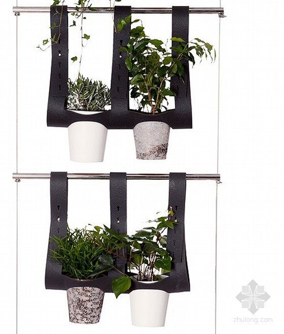 漂亮的懸掛式綠植系統(tǒng) 中國風景園林網(wǎng)