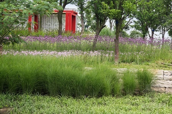 藝普得設(shè)計(jì)的昆山蓮湖公園