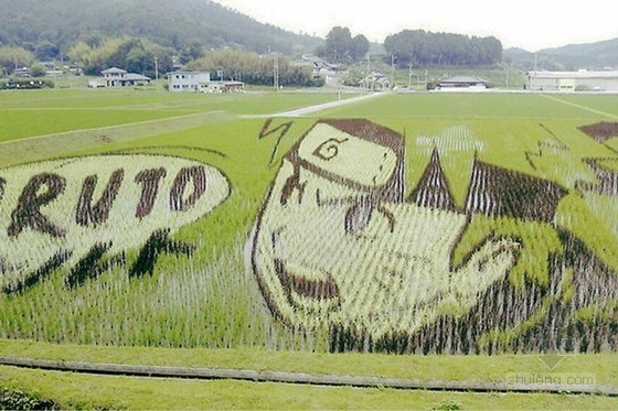日本田舍館村村民設(shè)計(jì)的巨型稻田插畫(huà)藝術(shù)