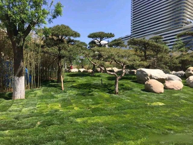 推動綠地開放共享 河北去年新建成口袋公園166個(gè)