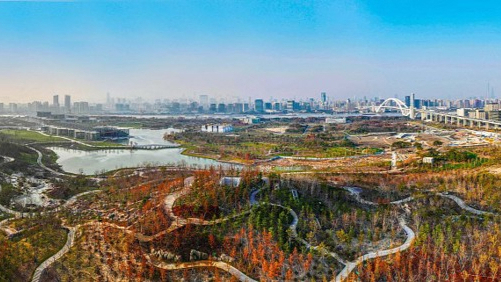 上海：計劃新增120座城鄉(xiāng)公園 城市公園全天開放
