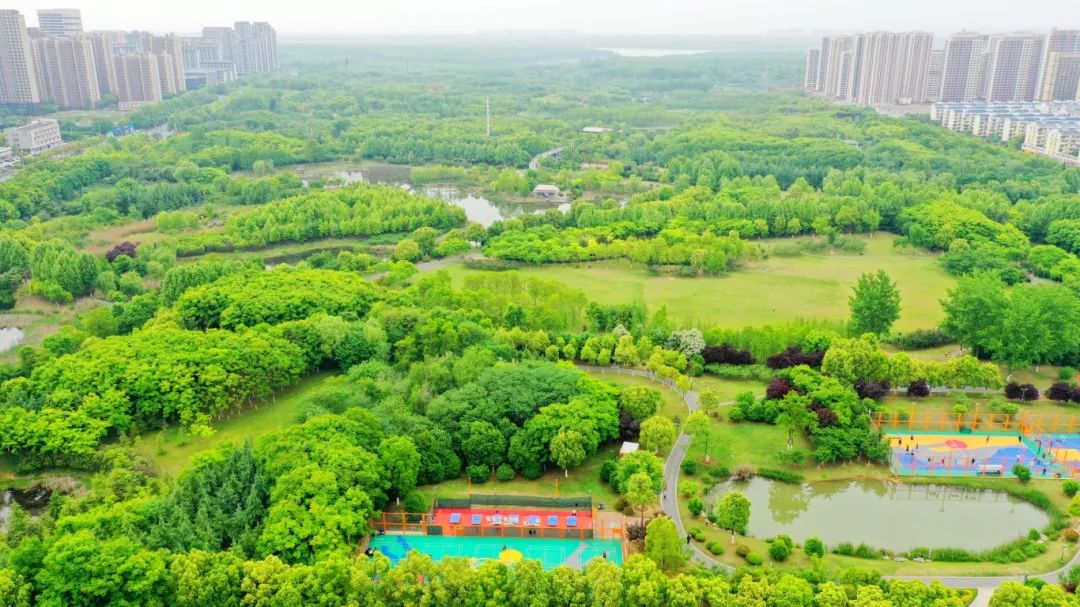 安徽加快推進(jìn)高品質(zhì)城市公園建設(shè)