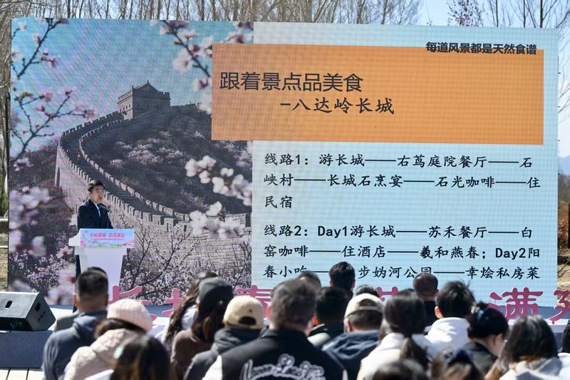 北京延慶開(kāi)啟踏青賞花季 打造沉浸式文旅盛宴...